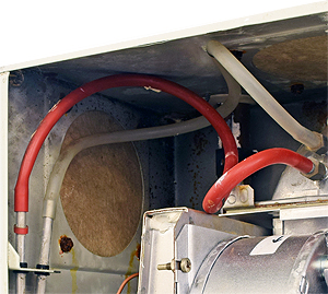 bx pt celsia 50 f1 aps tub upper.jpg